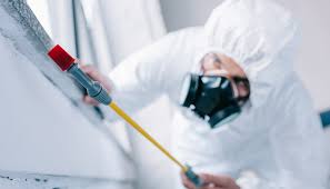 Best Pest Control for Multi-Family Homes  in Millbrook, NY